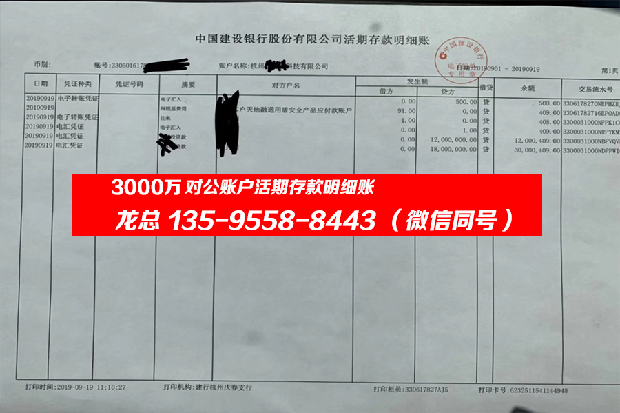 3000萬中國建設銀行對公賬戶活期存款明細賬